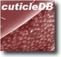 cuticleDB logo